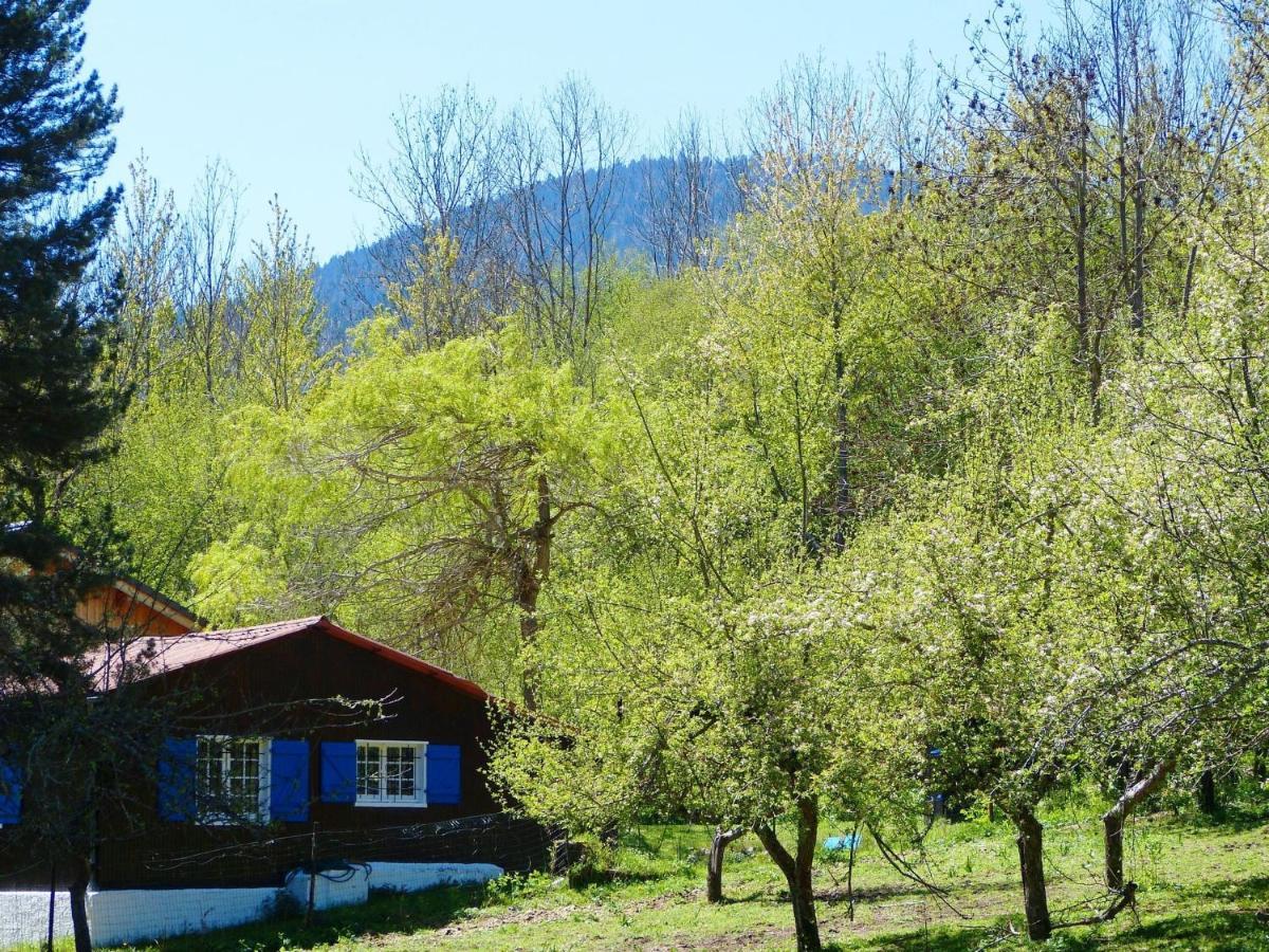 Chalet With Garden In The Pyrenees Villa Roquefort-de-Sault Екстериор снимка