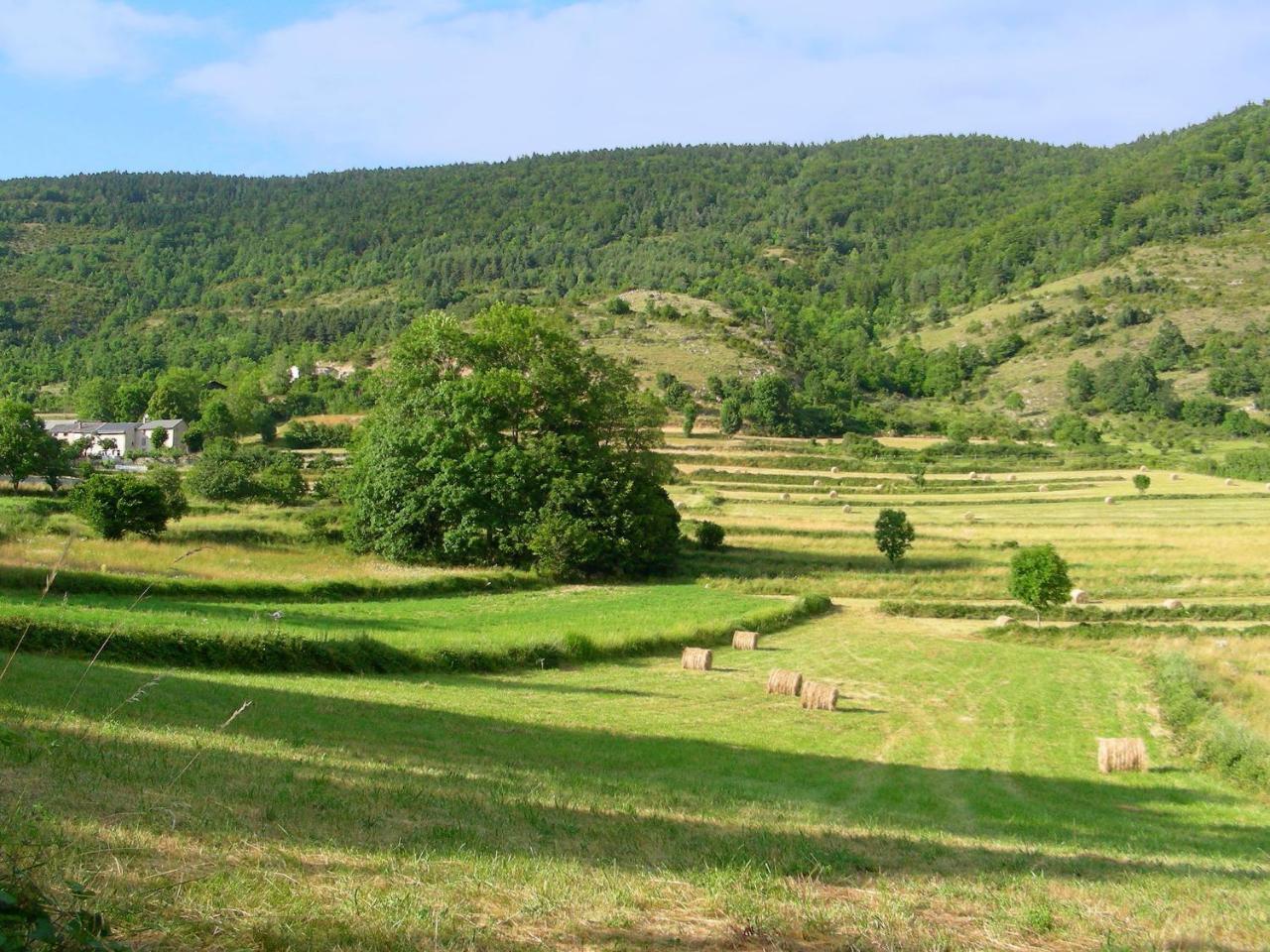 Chalet With Garden In The Pyrenees Villa Roquefort-de-Sault Екстериор снимка